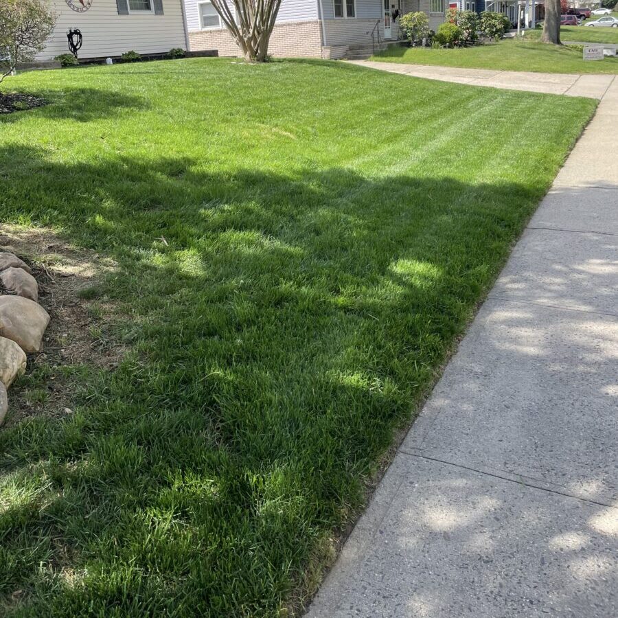 Lawn Mowing Service in Langhorne, PA Lawn Mowing Service in Langhorne, PA